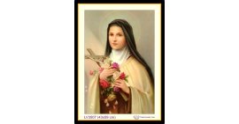 [T-LV3507] Tranh thêu chữ thập Đức Mẹ Maria khổ nhỏ (43x59 cm)